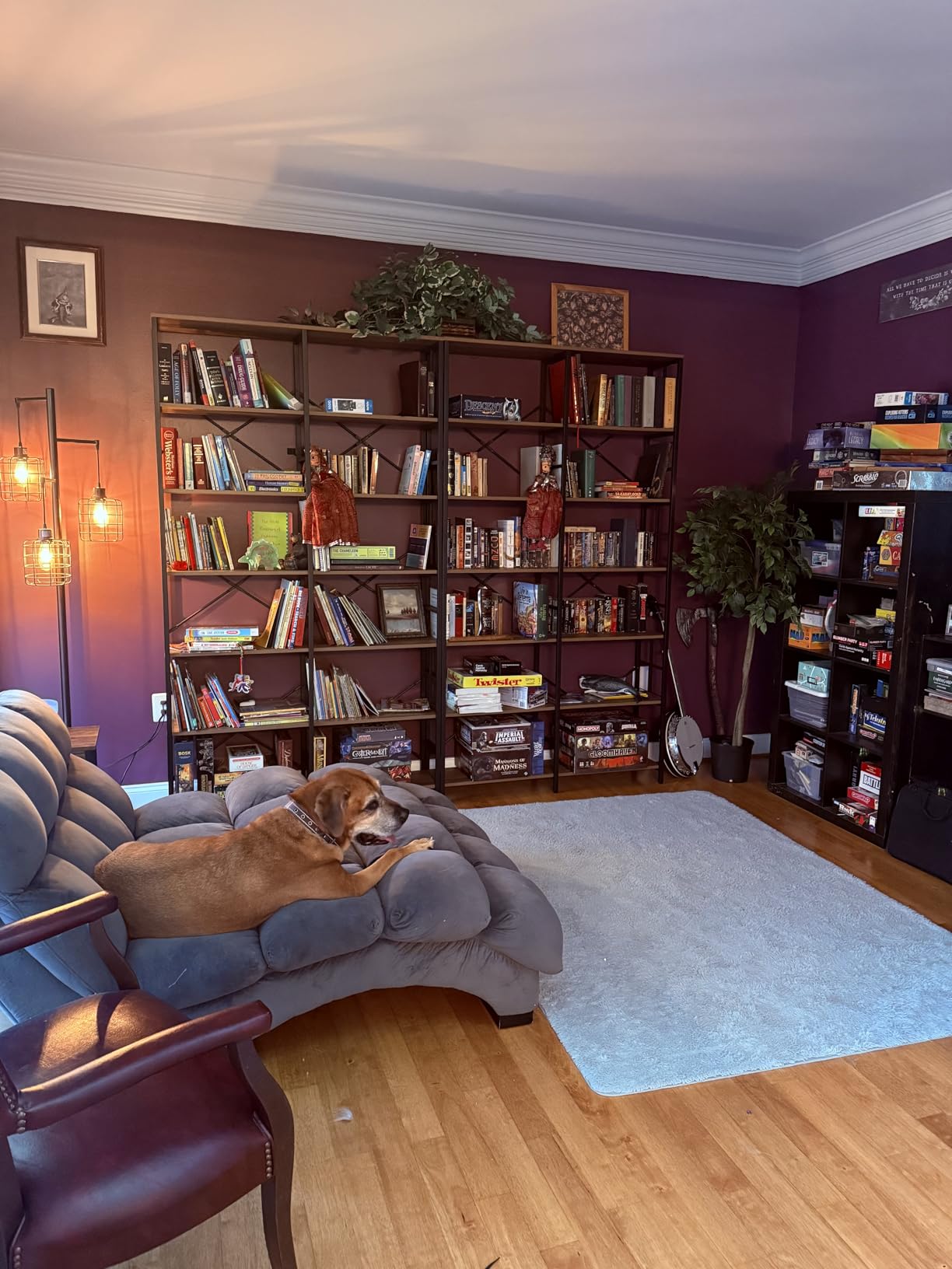 HOMISSUE Bookshelf, Industrial Double Wide 7-Tier Bookshelves, 84
