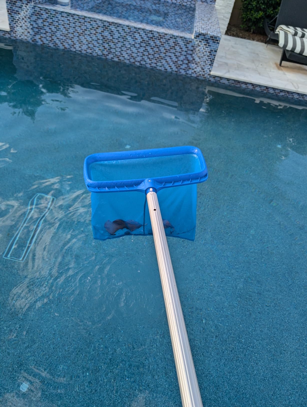 Pool Skimmer, Pool Skimmer Net without Pole,Swimming Pool Nets for Cleaning customer photo 1
