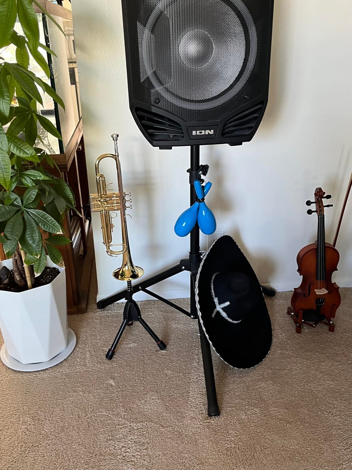 Glory Bb Trumpet - Trumpets for Beginner or Advanced Student with Case, pair of gloves,Green customer photo 1