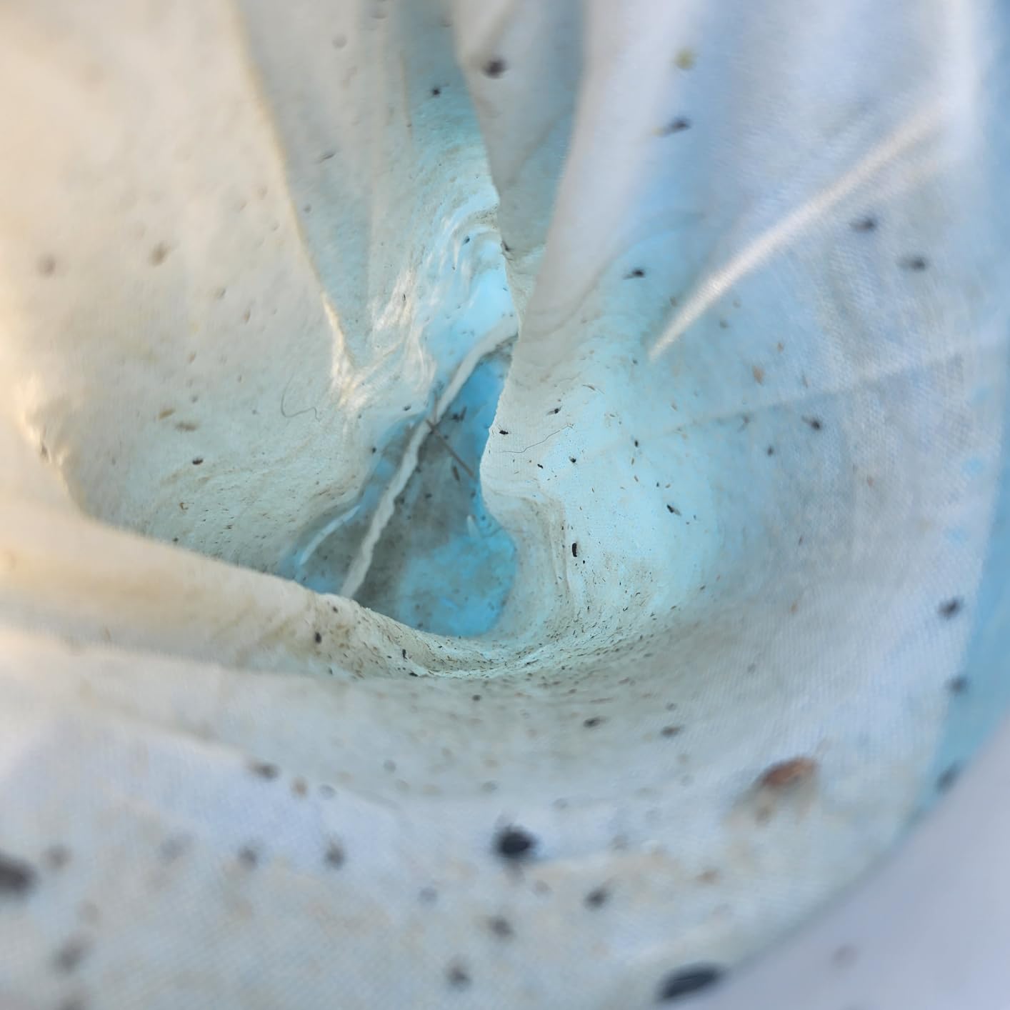 U.S. Pool Supply Pool Skimmer - Above Ground Pool Floating Surface Skimmer customer photo 2