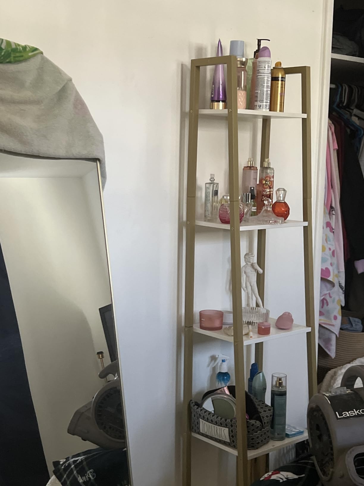 Hzuaneri Ladder Shelf, Bookshelf, Freestanding Corner Storage Shelf customer photo 1