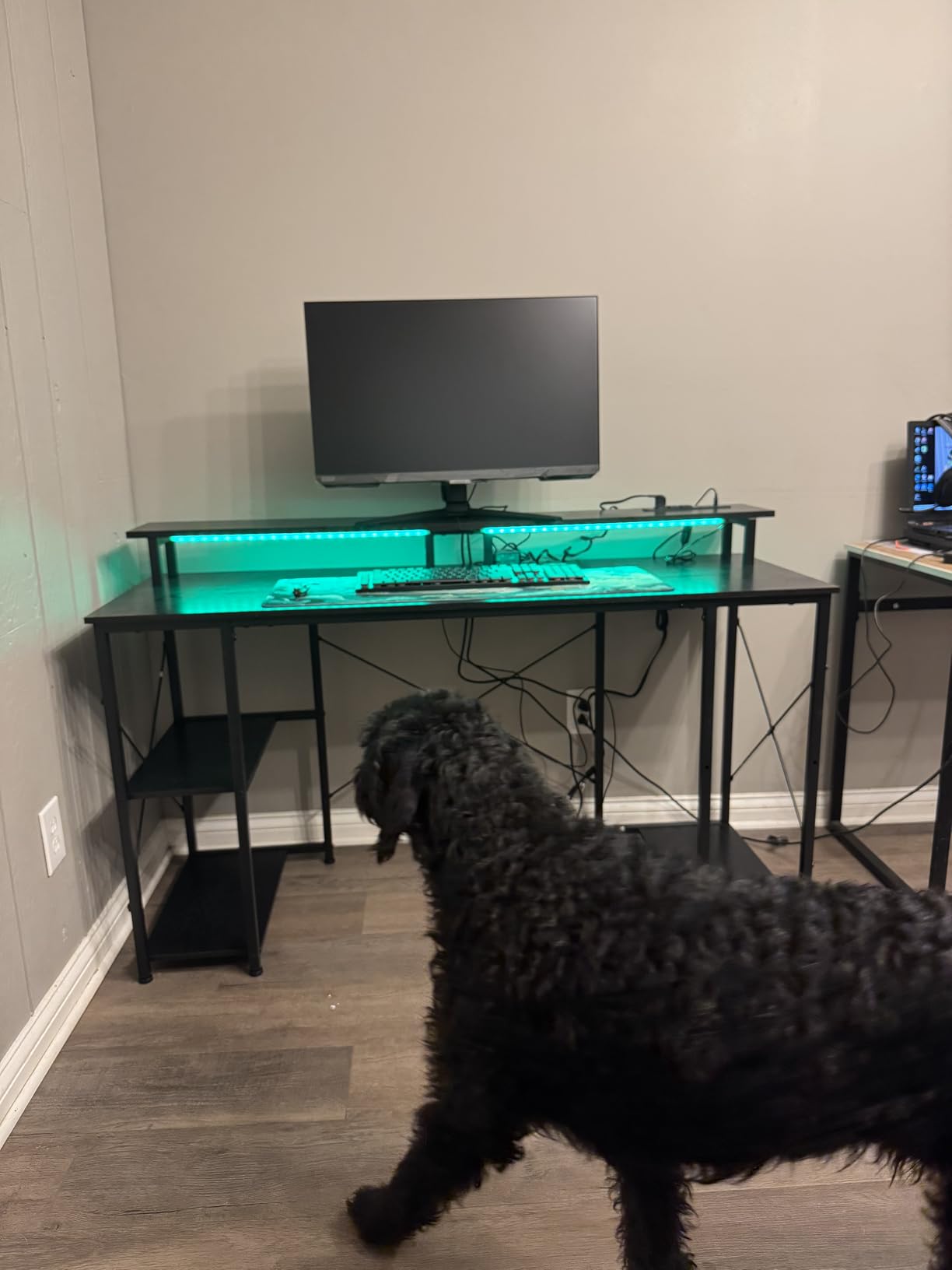 ODK 55 Inch Gaming Desk with LED Lights & Storage Shelves, Black customer photo 1