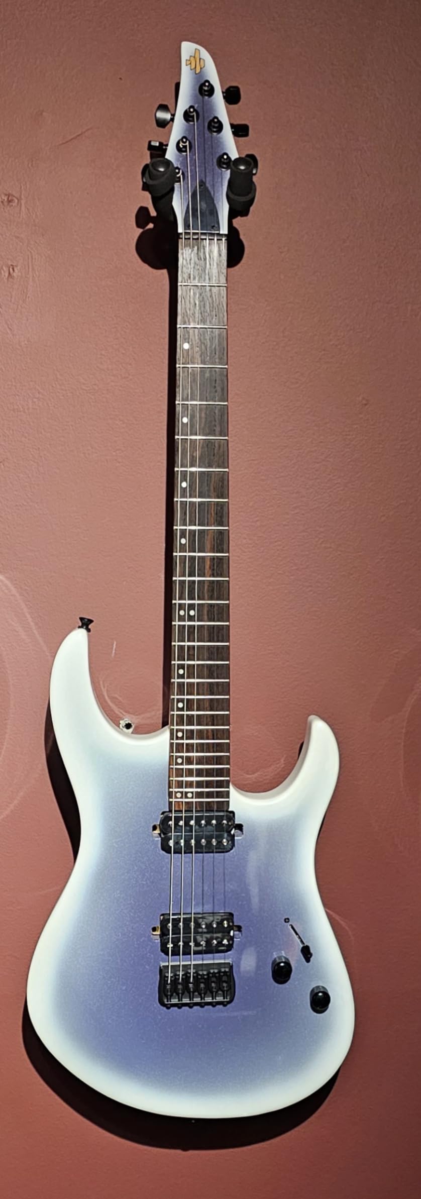 Donner DMT-100 39 Inch Solid Body Electric Guitar Kit (Gradient Violet) customer photo 1