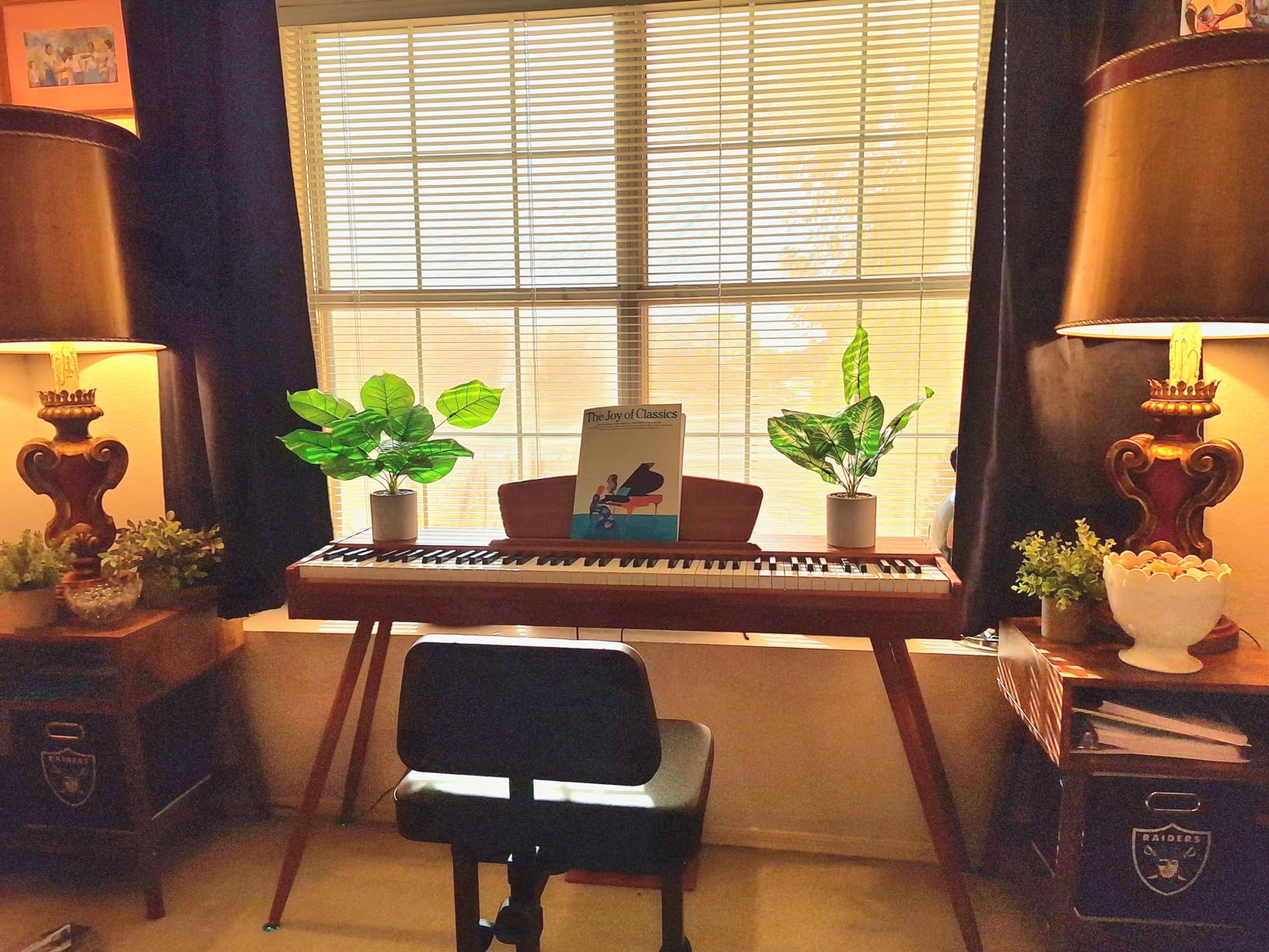 Donner DDP-80 Digital Piano 88 Key Weighted Keyboard, Full-size Electric Piano for Beginners, with Sheet Music Stand, Triple Pedal, Power Adapter, Supports USB-MIDI Connecting, Natural Wood Color customer photo 1