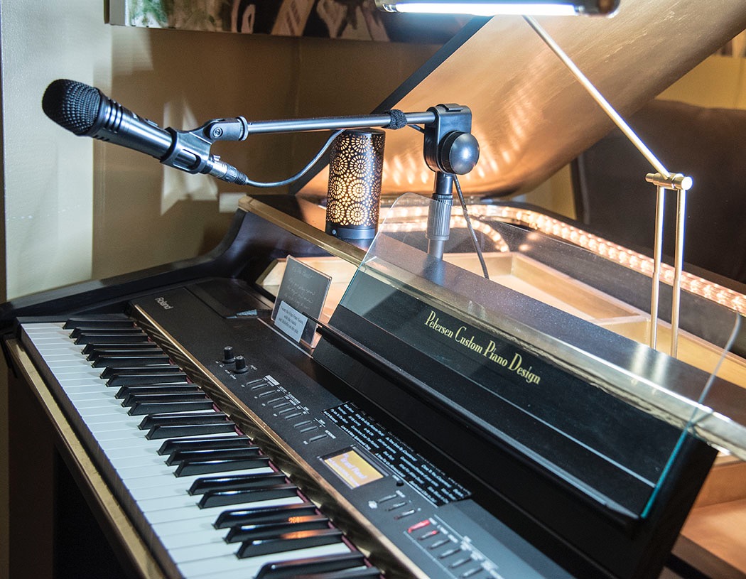 TONOR Professional Vocal Microphone for Singing, Dynamic Wired Karaoke Mic customer photo 1