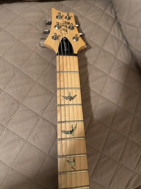 PRS SE Swamp Ash Special Electric Guitar, Charcoal with Gigbag customer photo 1