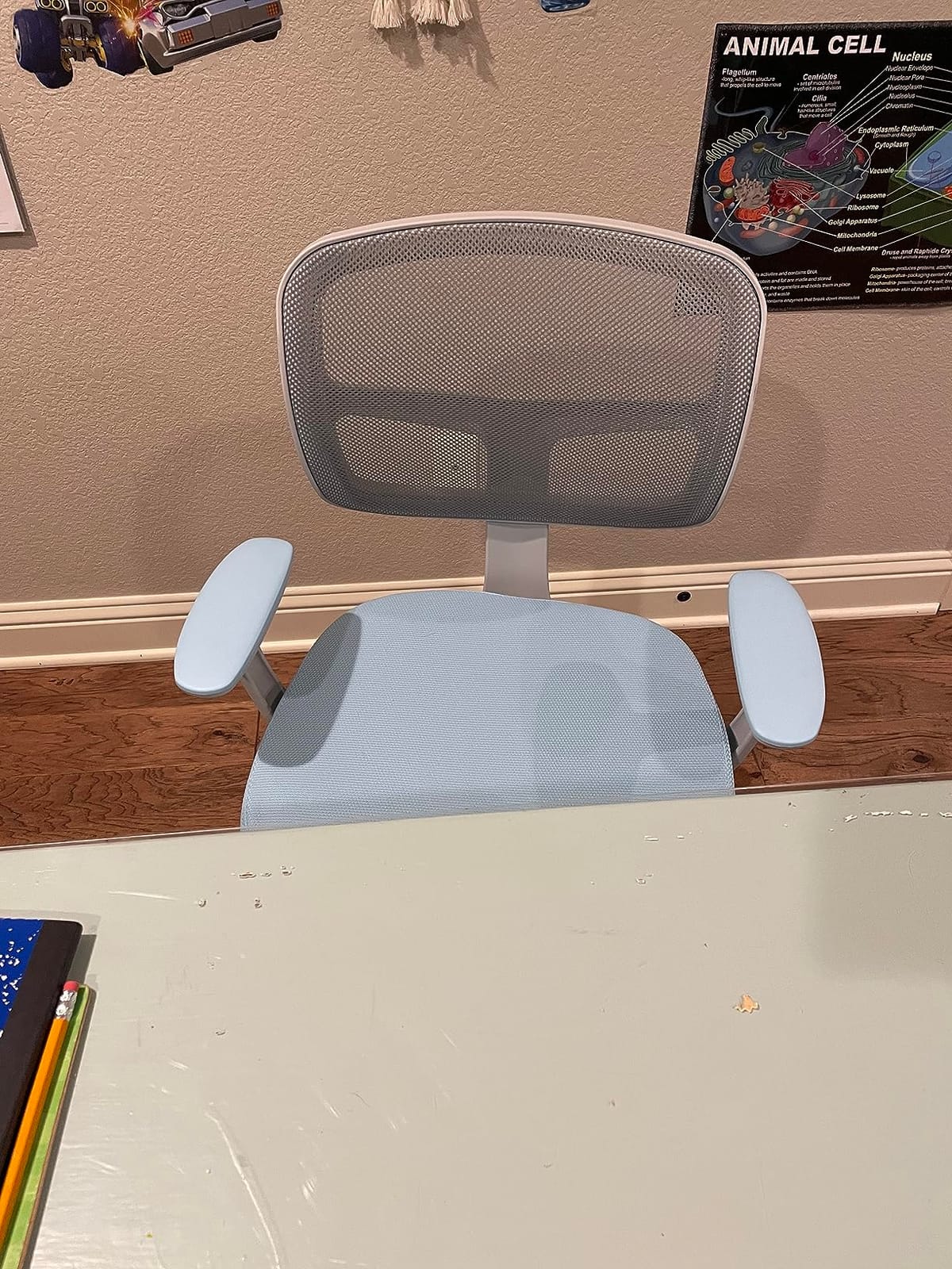 HONEY JOY Kids Desk Chair, Height Adjustable Children Study Chair, Swivel Mesh Task Student Chair, Universal Casters, Child Computer Desk Chair for Boys Girls Age 3-10 (Gray) customer photo 1