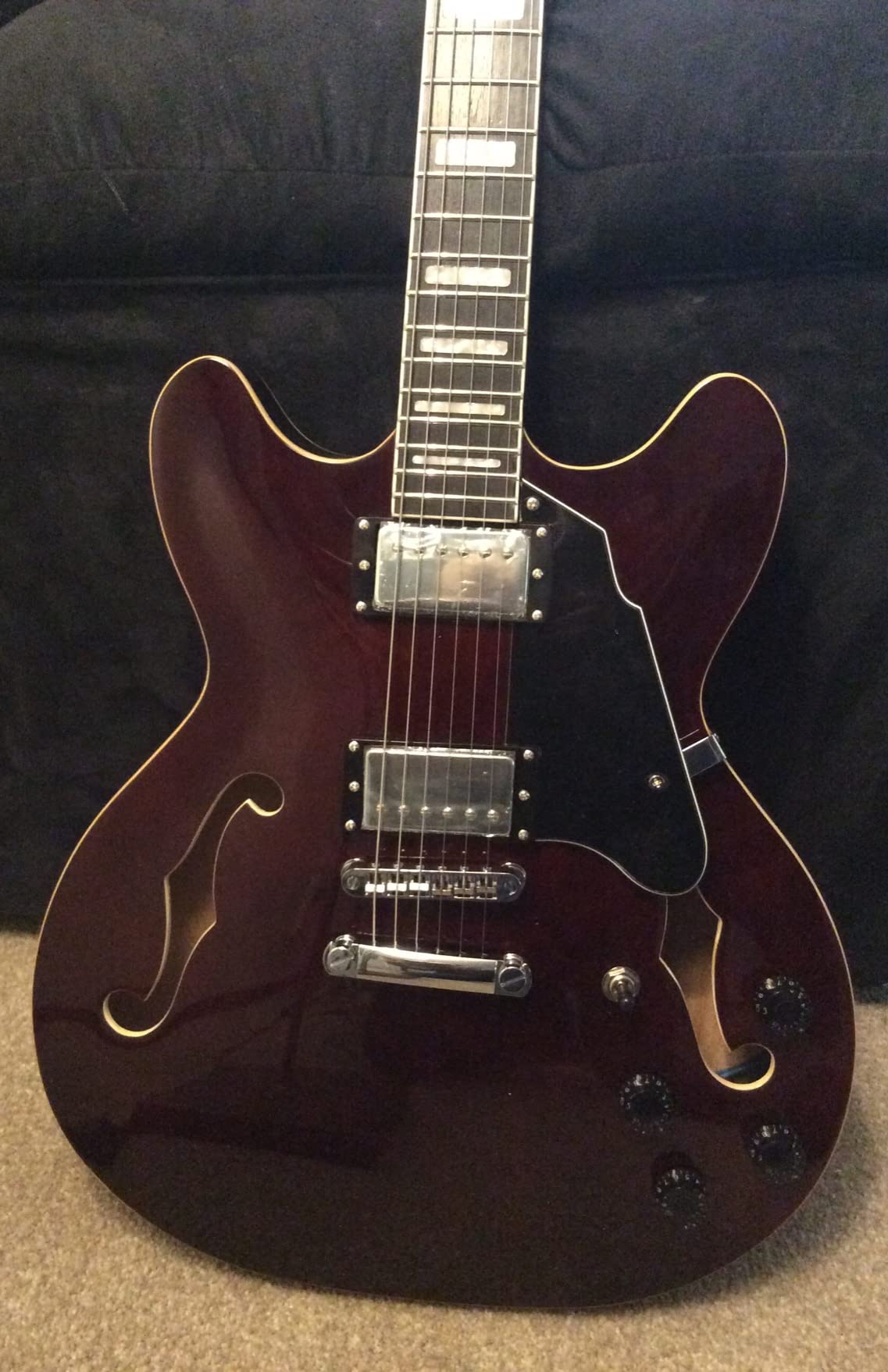 Redid Semi-Hollow Body Electric Guitar RD-100 Jazz Guitar with F-Hole,Maple neck,humbucker Pickups (Black) customer photo 1