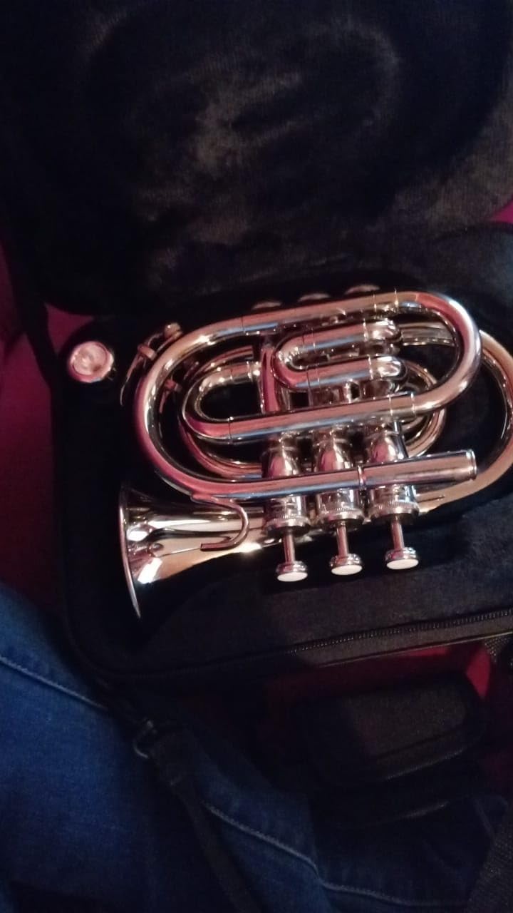 Bb Pocket Trumpet - Mini Brass Instrument for Beginners, Gold Lacquer Finish with 7C Mouthpiece & Case, Ideal for Travel Marching Band Practice customer photo 1