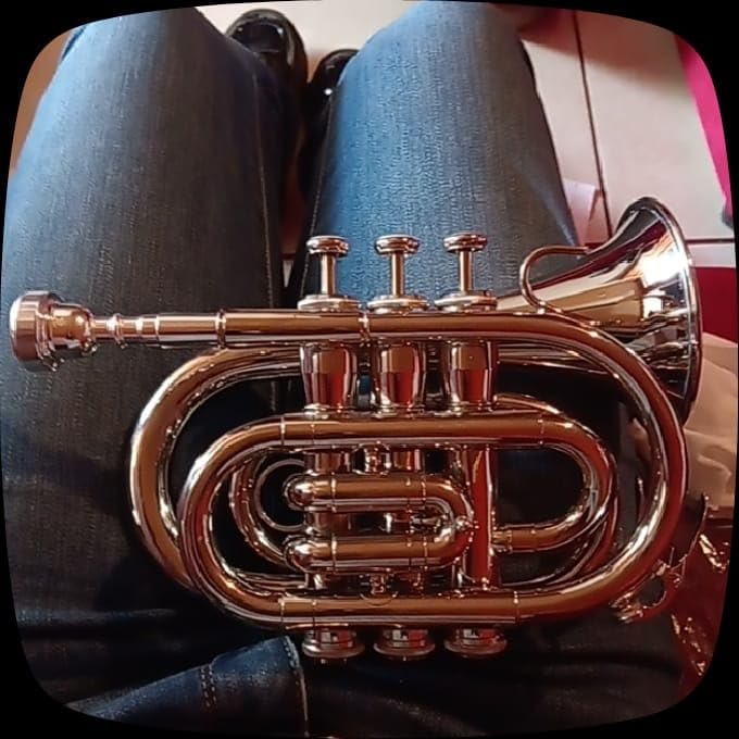 Bb Pocket Trumpet - Mini Brass Instrument for Beginners, Gold Lacquer Finish with 7C Mouthpiece & Case, Ideal for Travel Marching Band Practice customer photo 2