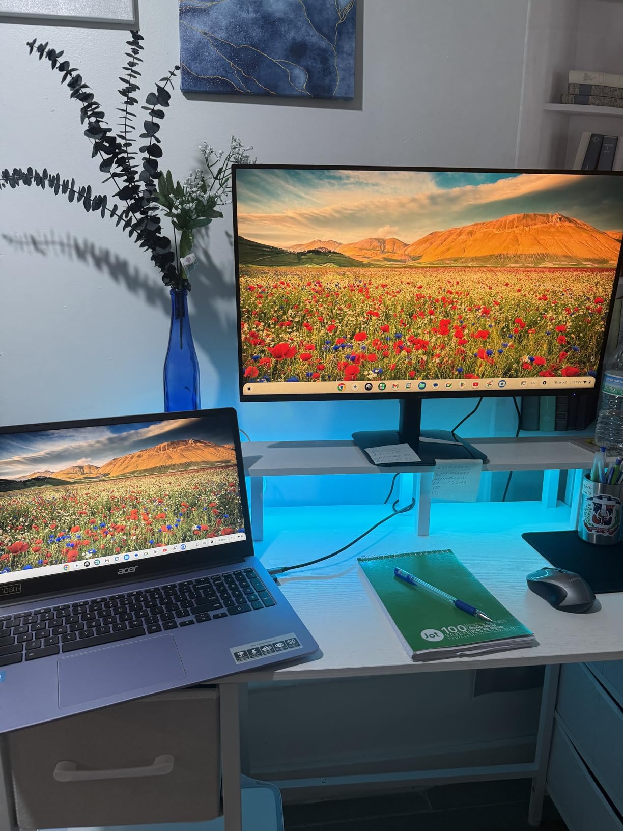 Acer 27in FHD 1920x1080 IPS 120Hz Gaming Monitor | Office KB272 G0bi customer photo 1