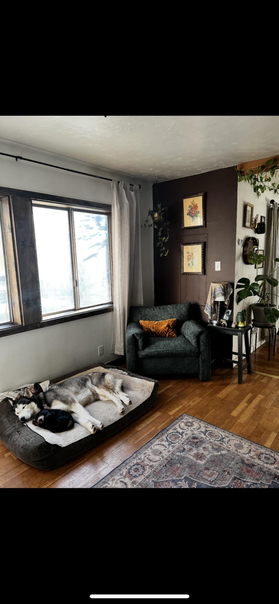 Howjoe Accent Chair for Living Room, Oversized Reading Armchair, Beige customer photo 1