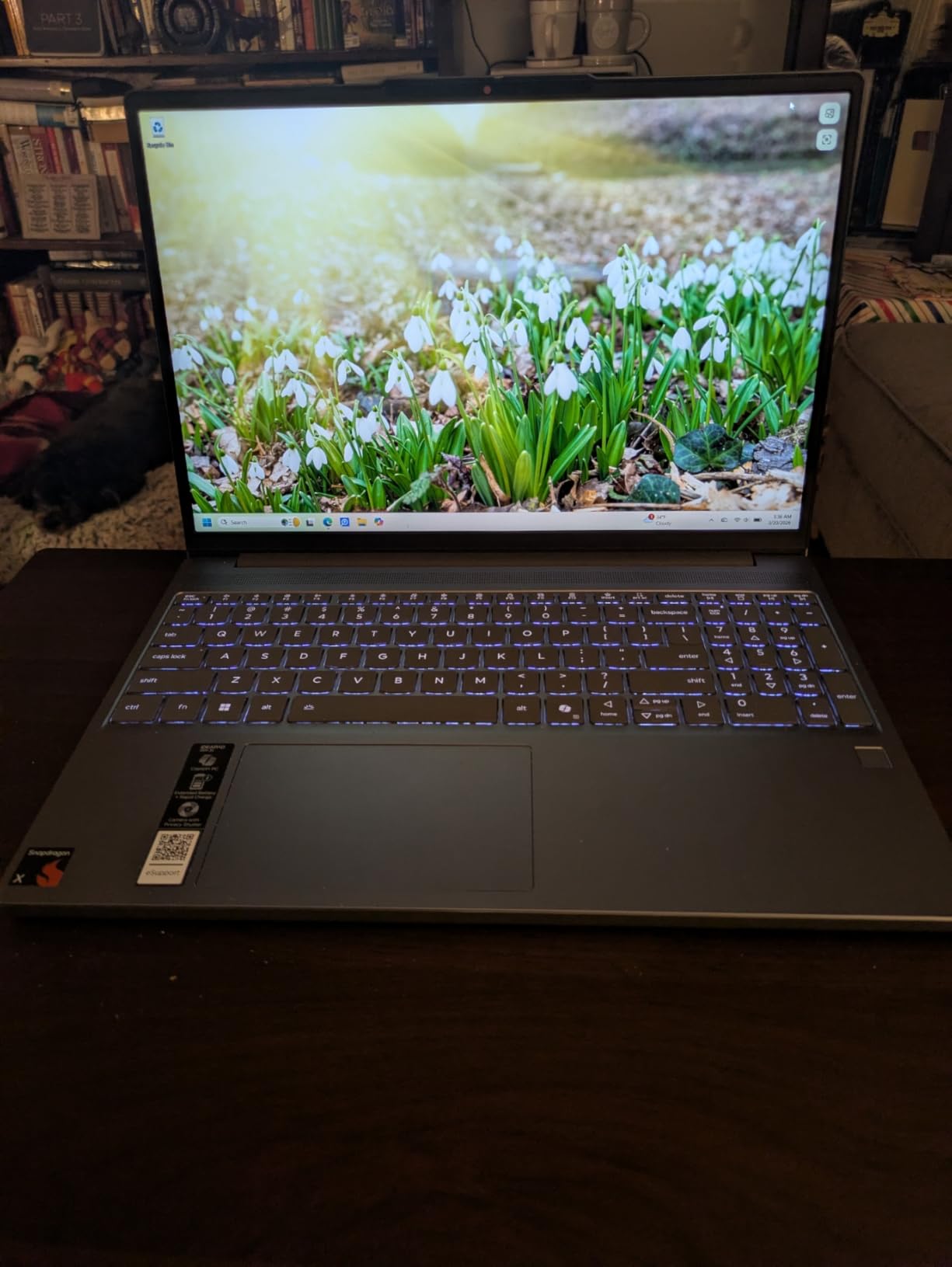 Lenovo IdeaPad Slim 3X - 2025 - Everyday AI Laptop - Copilot+ PC - 15.3