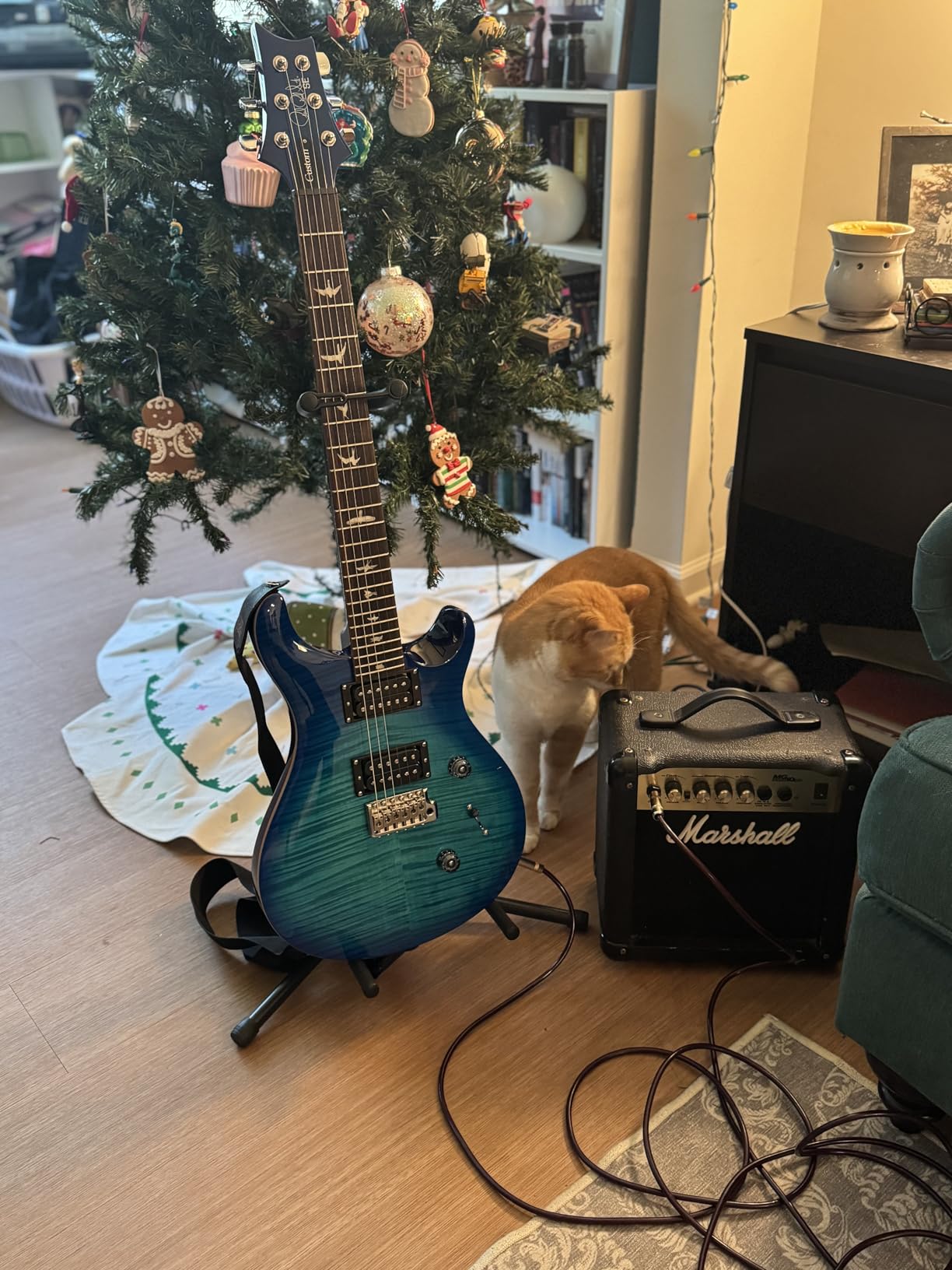 PRS SE Custom 24 Exclusive, Orange Tiger Smokeburst customer photo 1