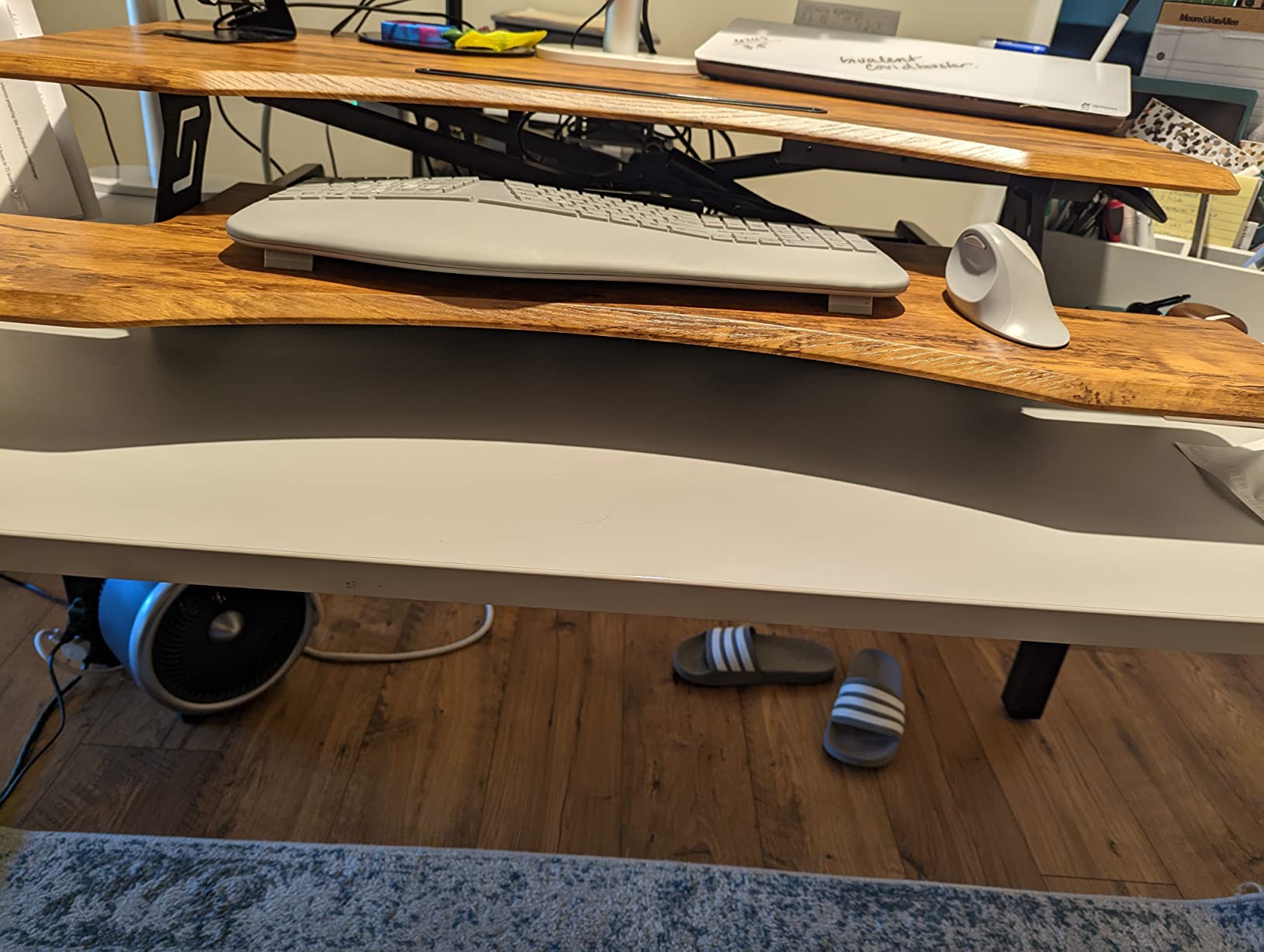 FEZIBO 71 x 37 Inch Large Electric Standing Desk 1