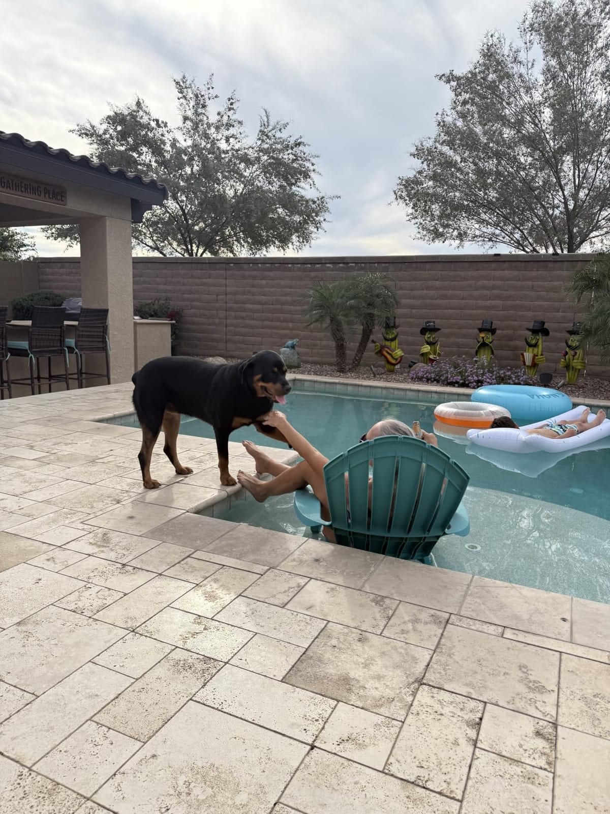 Cordless Pool Vacuum with Telescopic Pole, 18.5 GPM Powerful Suction, 1.5H Supercharge Technology, Handheld Pool Vacuum Cleaner for Above Ground/Inground Pools, Hot Tubs, Blue customer photo 1
