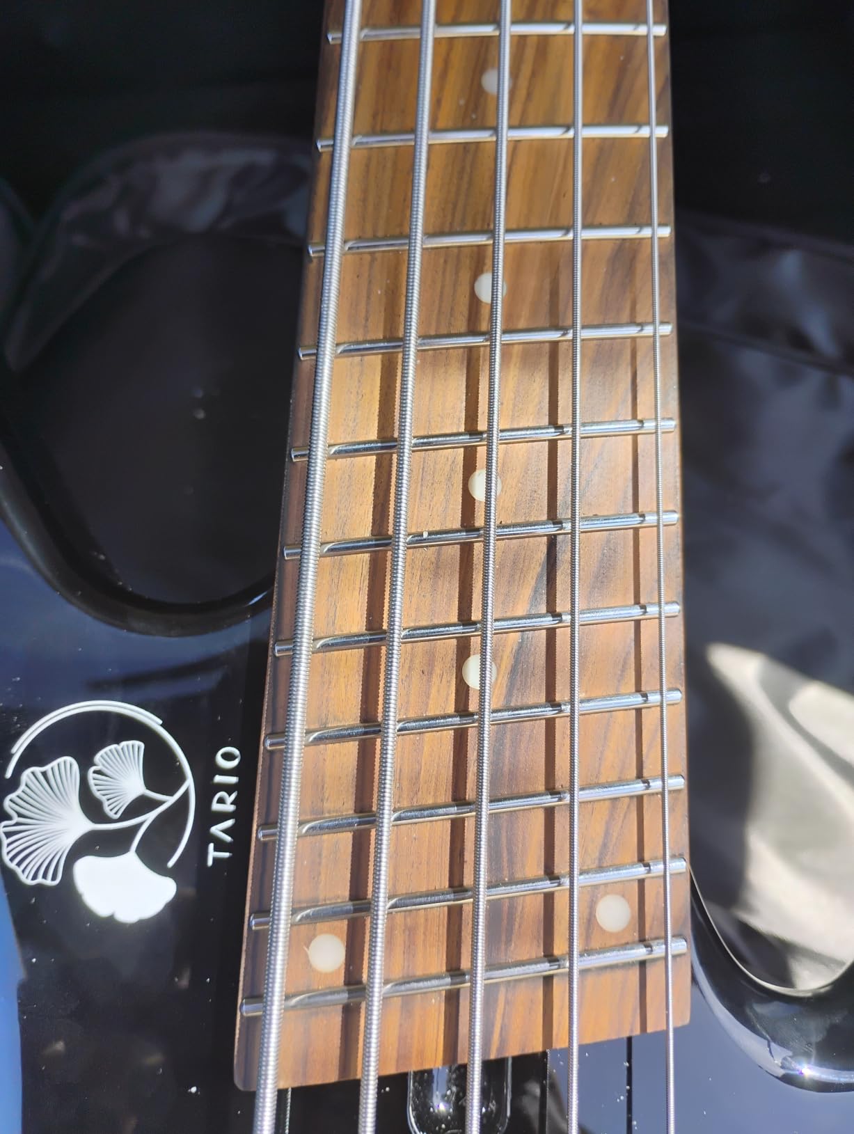 TARIO Headless 5 String Bass Guitar Multiscale Fanned Frets, Okoume Body, Roasted Maple Neck, Rosewood Fingerboard, Electric Bass Guitar customer photo 2