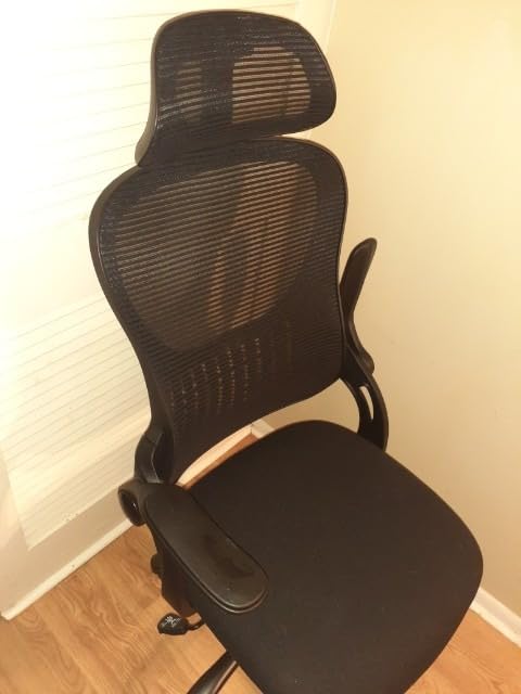 Sweetcrispy Computer Desk Chair, Mesh Office Chair with Lumbar Support customer photo 2