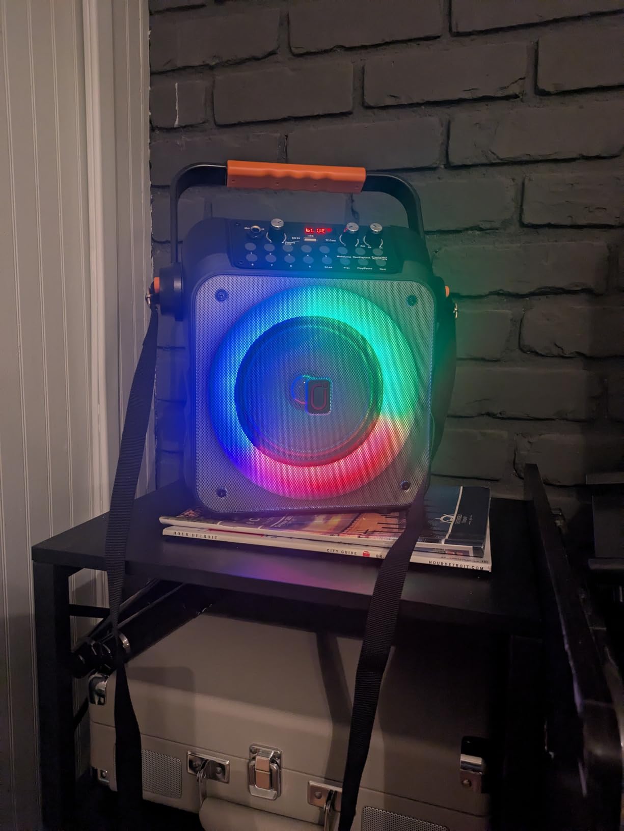 HWWR Karaoke Machine with 2 Mics for Adults & Kids, All-in-One Karaoke Set customer photo 2