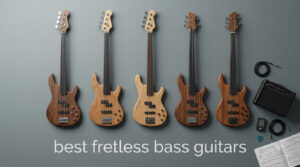 best fretless bass guitars