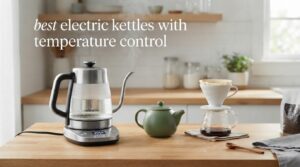 best electric kettles with temperature control