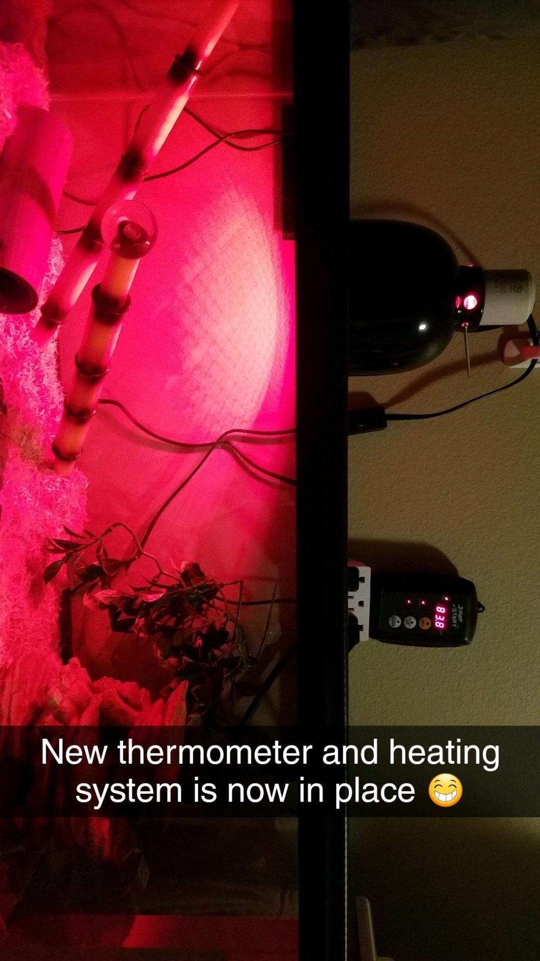 JumpStart Digital Thermostat Controller for Heat Mats, 6 Ft Cord, MTPRTC customer photo 2