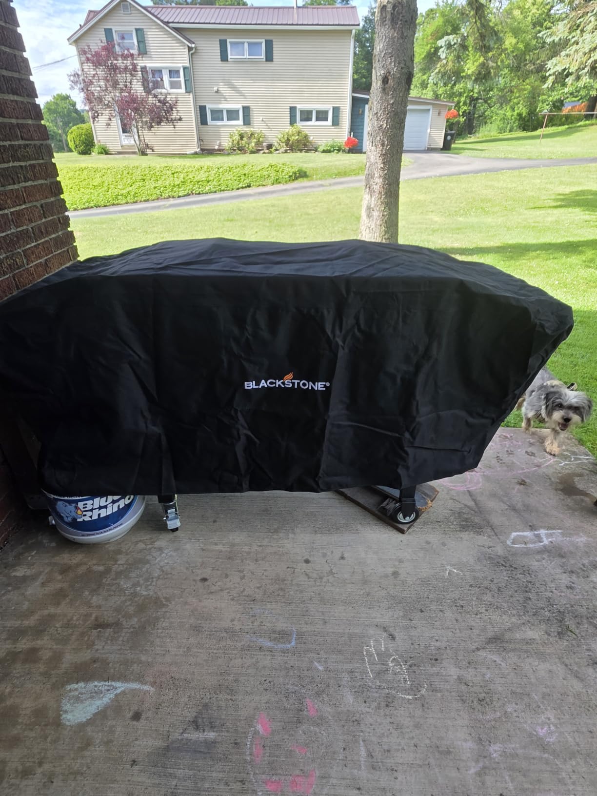 Blackstone® 36 inch Griddle Cover customer photo 1