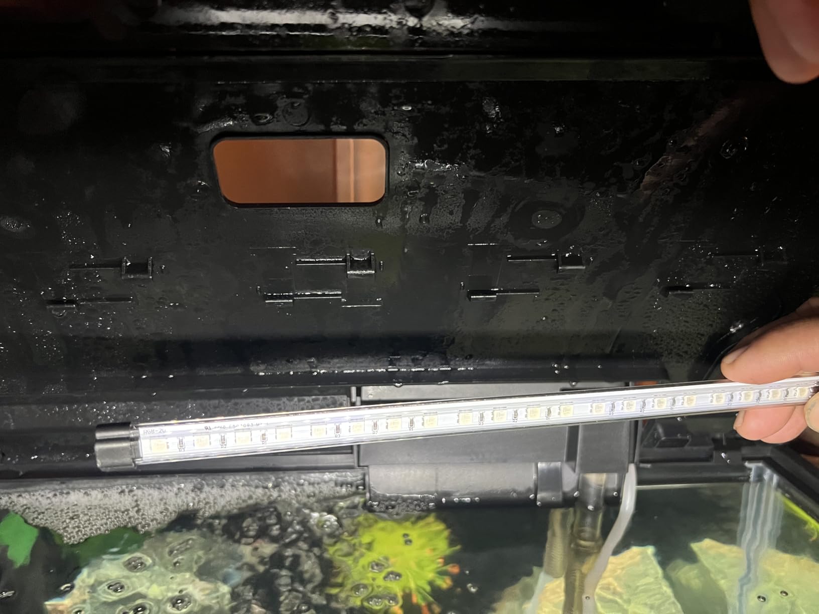 Tetra Color Complete 20 Gallon Fish Tank Kit for Freshwater, Saltwater Fish customer photo 2