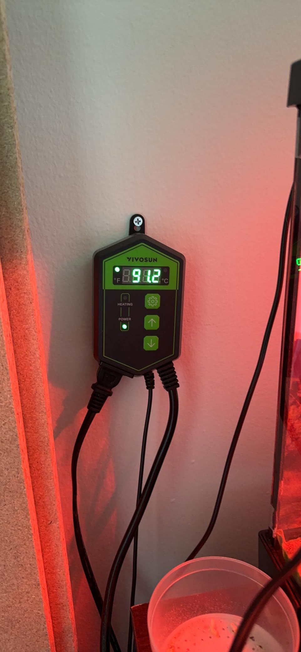 VIVOSUN Digital Heat Mat Thermostat Controller, 40–108 ºF 1000W for Reptiles, Seedlings, Germination, Incubation and Fermentation customer photo 2