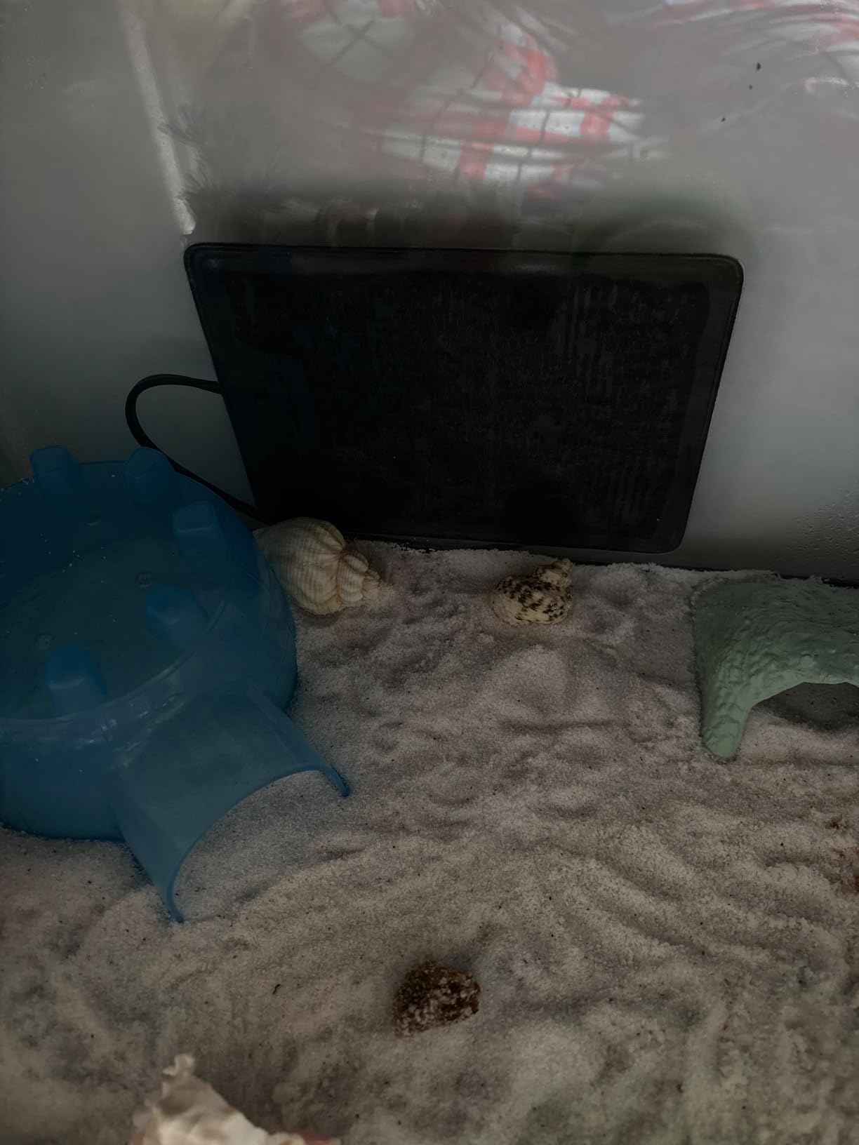 Aiicioo Reptile Heating Pad - Hermit Crab Heater Heat Mat for Reptiles Snake Lizard Terrarium 8 Watt customer photo 2