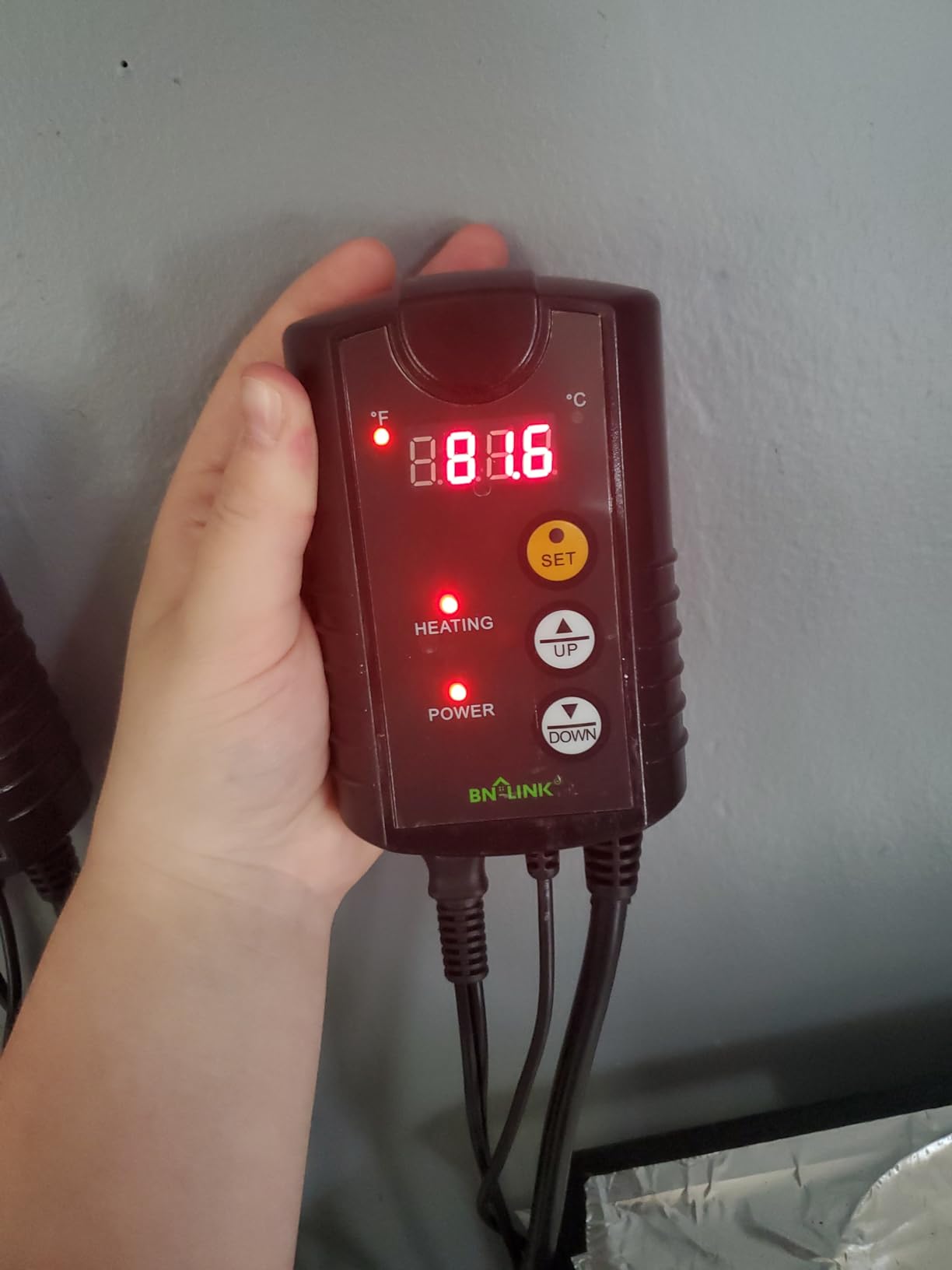BN-LINK Reptile Thermostat Temperature Controller, Digital Heat Mat Thermostat for Seed Starting, Plant Germination, Greenhouse, Incubator, Brooder, Brewing, Reptiles Tank,40-108°F, 1000W, ETL Listed customer photo 1