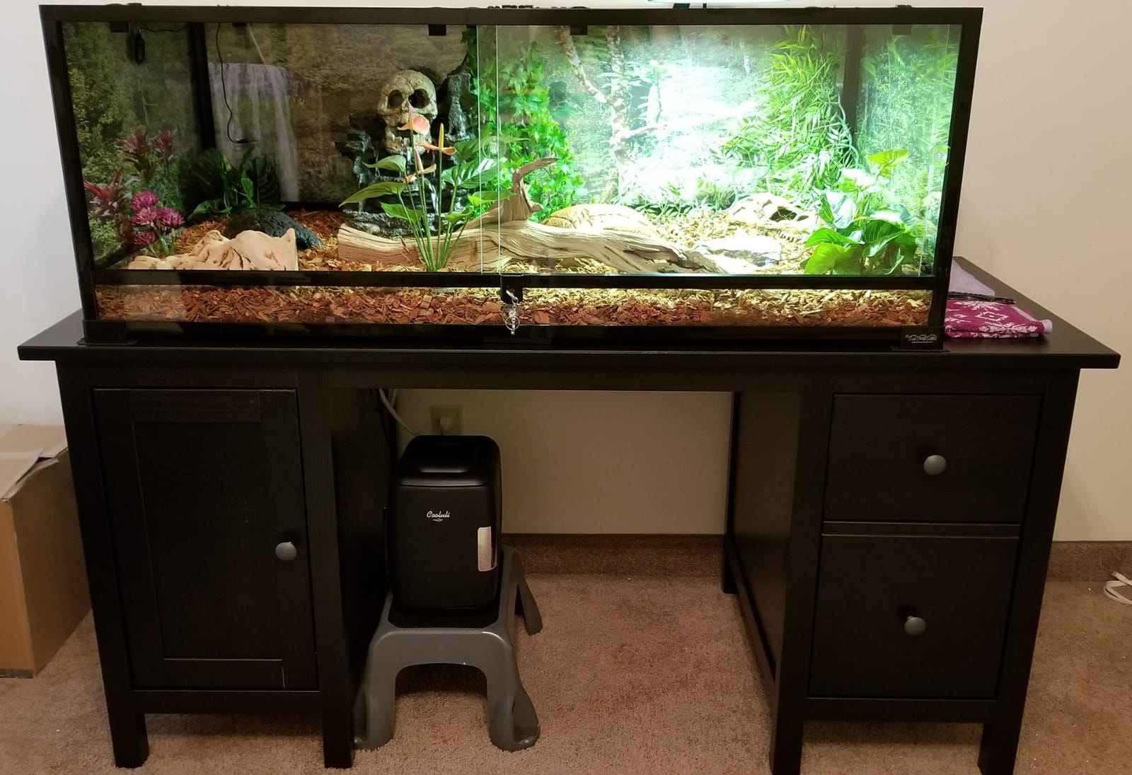 36Lx18Wx18H Reptile Terrarium, 50 Gallon Reptile Tank customer photo 1
