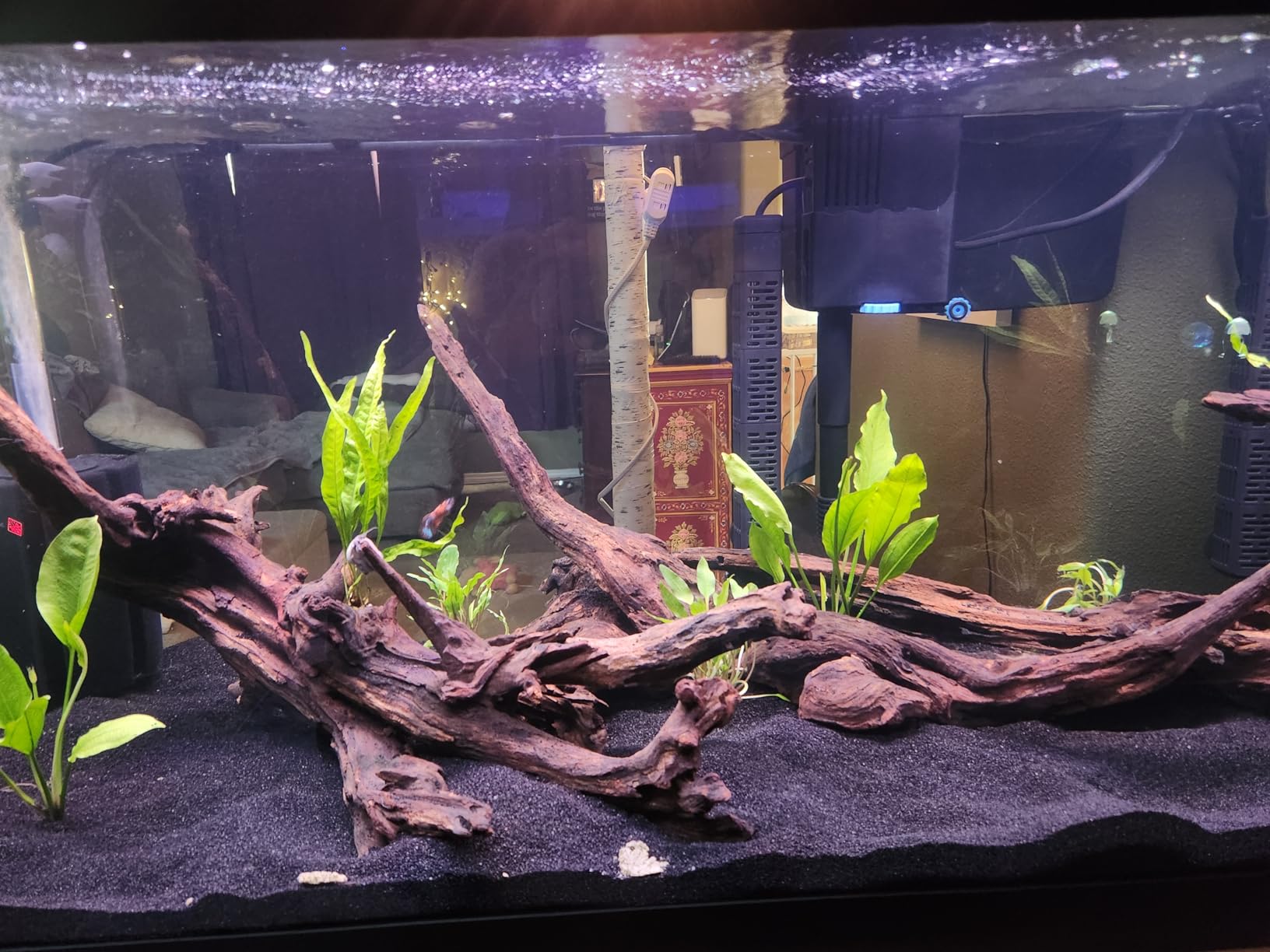 AQUANEAT Bio Ceramic Rings 6 lbs Aquarium Sump Filter Media Fish Tank Koi Pond Canister Filter Media in 6 Free Mesh Bags customer photo 2