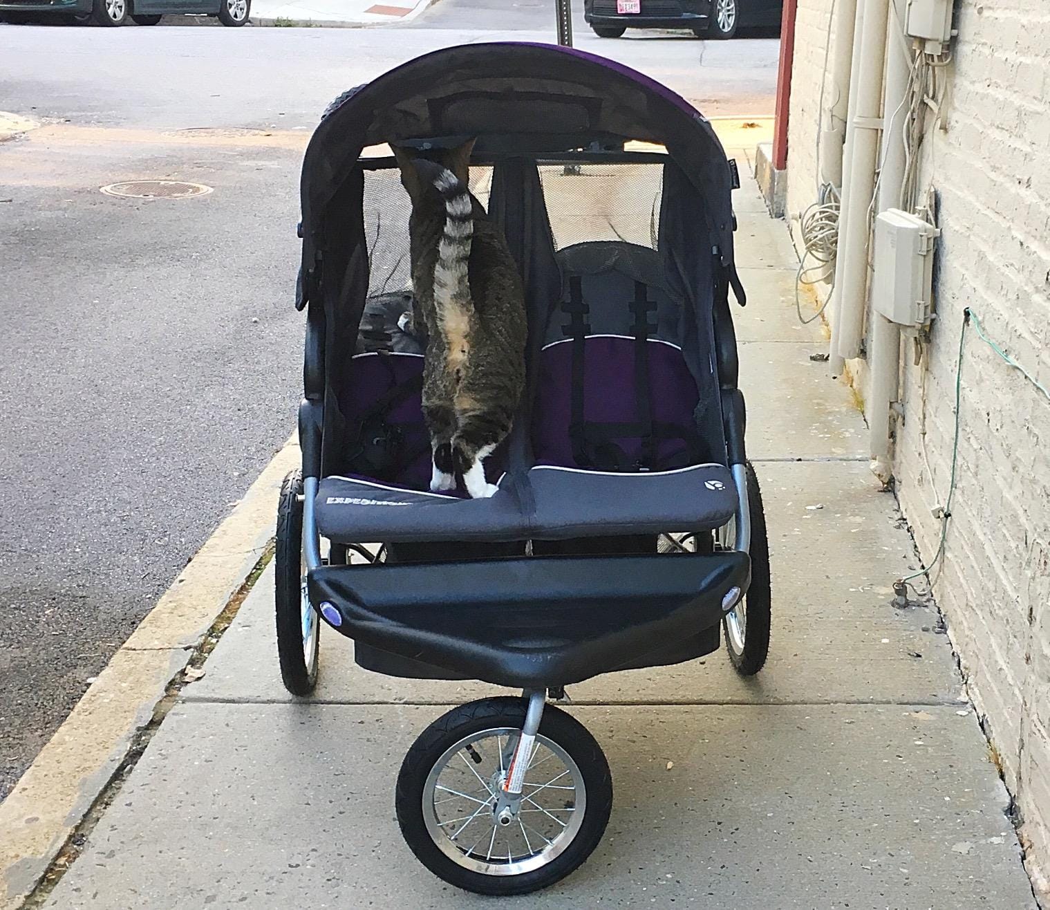 Baby Trend Navigator® Lite Double Jogger, Europa customer photo 1