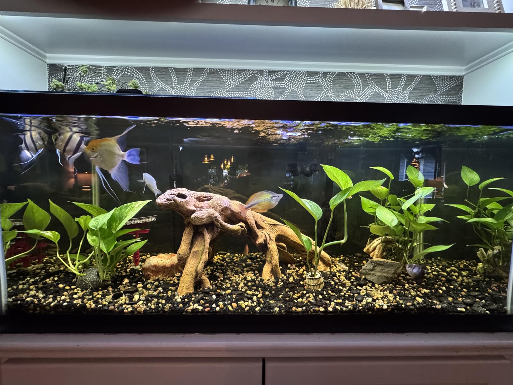 Biohome Ultimate Filter Media (2 LB) Premium Aquarium & Pond Filtration customer photo 2