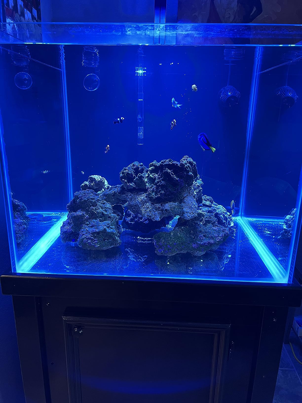 OASE BioMaster Thermo External Filter with Built-in Heater for Aquariums up to 160 gallons, Multi-stage Filtration, Easy Maintenance Prefilter, Quiet Canister Filter, German Engineering customer photo 2