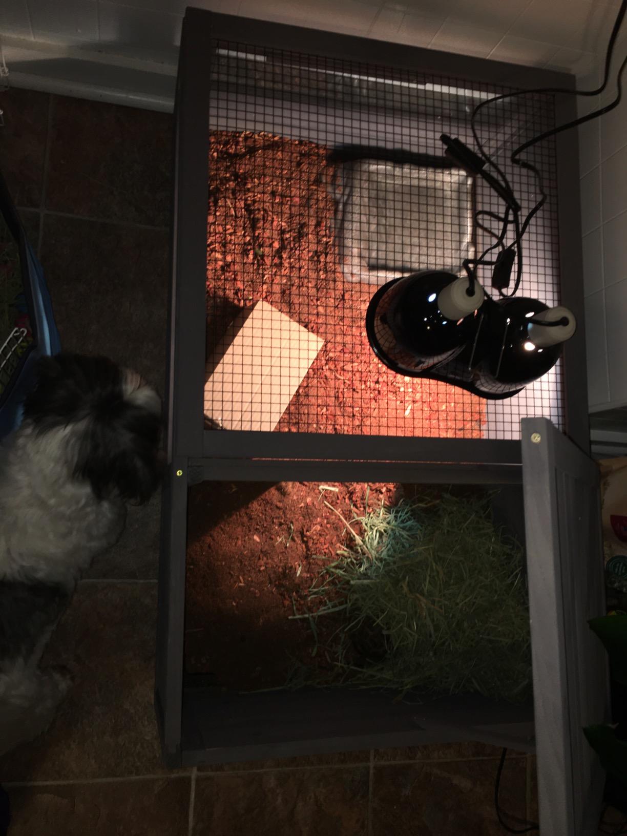 Aivituvin Wooden Tortoise House Large Tortoise Habitat Cage, Indoor Tortoises Enclosure for Small Animals, Outdoor Reptile Cage - Upgraded Weatherproof Bottom customer photo 1