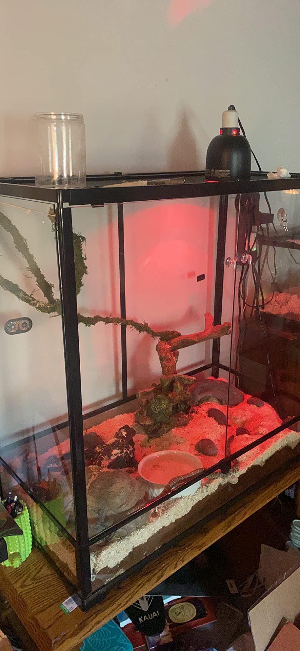 REPTI ZOO Large Reptile Terrarium, Vertical Reptile Tank, Wide & Tall Chameleon Cage with Top Screen Ventilation (36