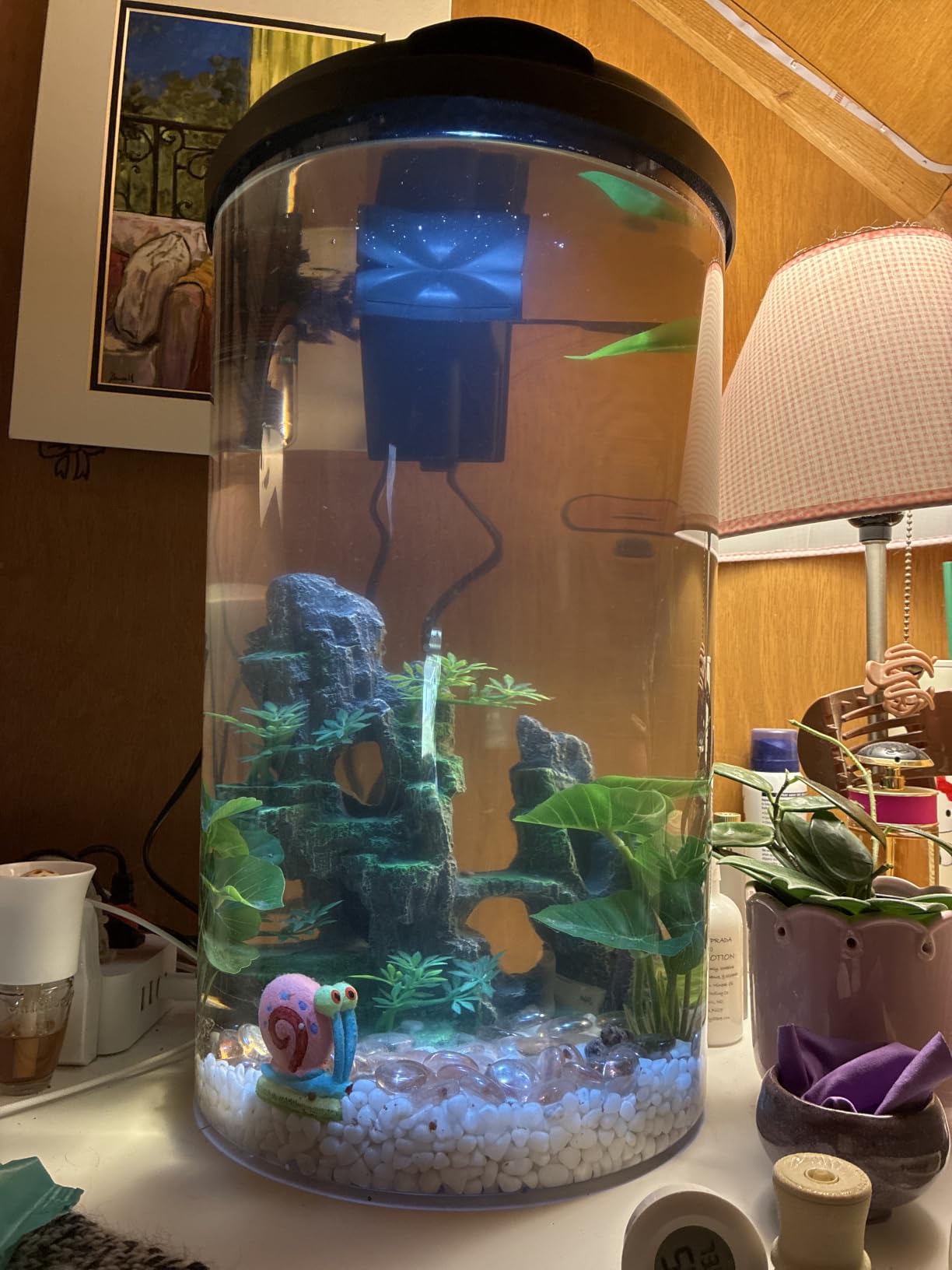 Koller Products Plastic 6-Gallon AquaView 360 Aquarium Kit for Tropical Fish, Betta Fish with LED Lighting and Power Filter Clear, 4-Piece Set customer photo 2