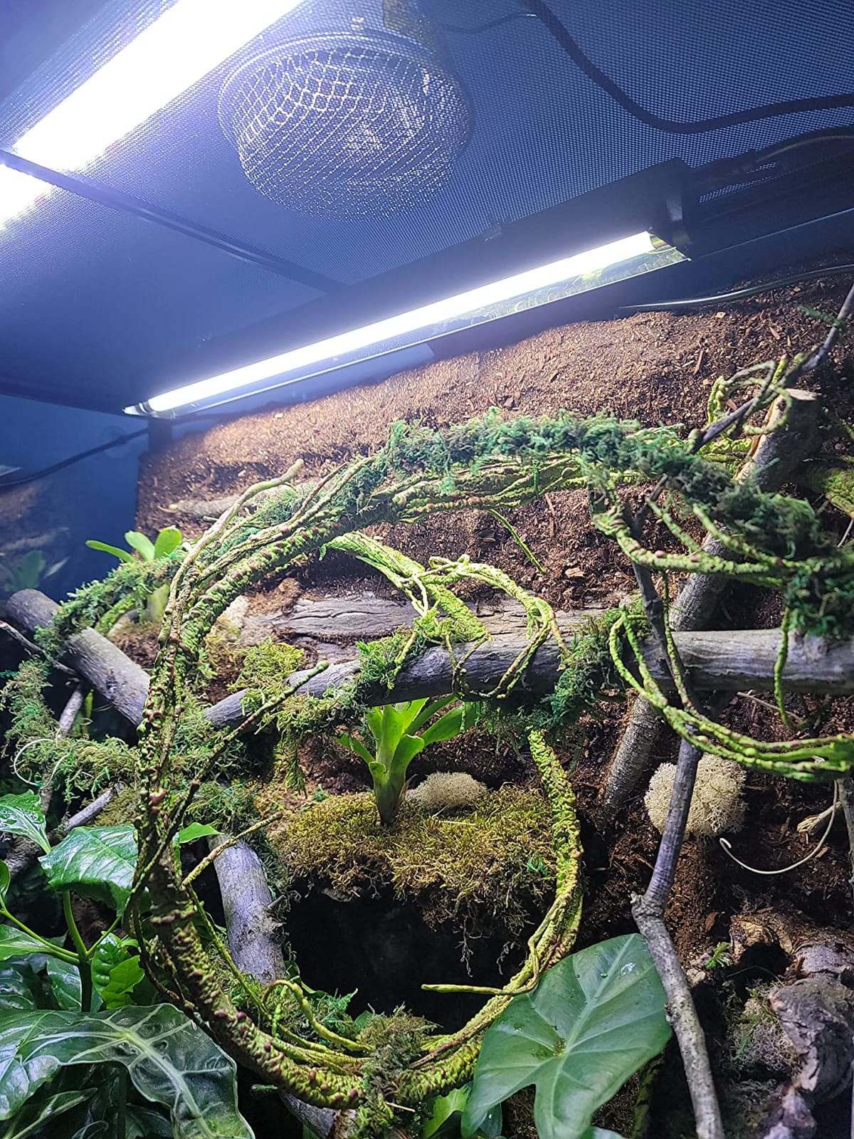 REPTI ZOO 24W Reptile T5 HO UVB Lighting Combo Kit, 22