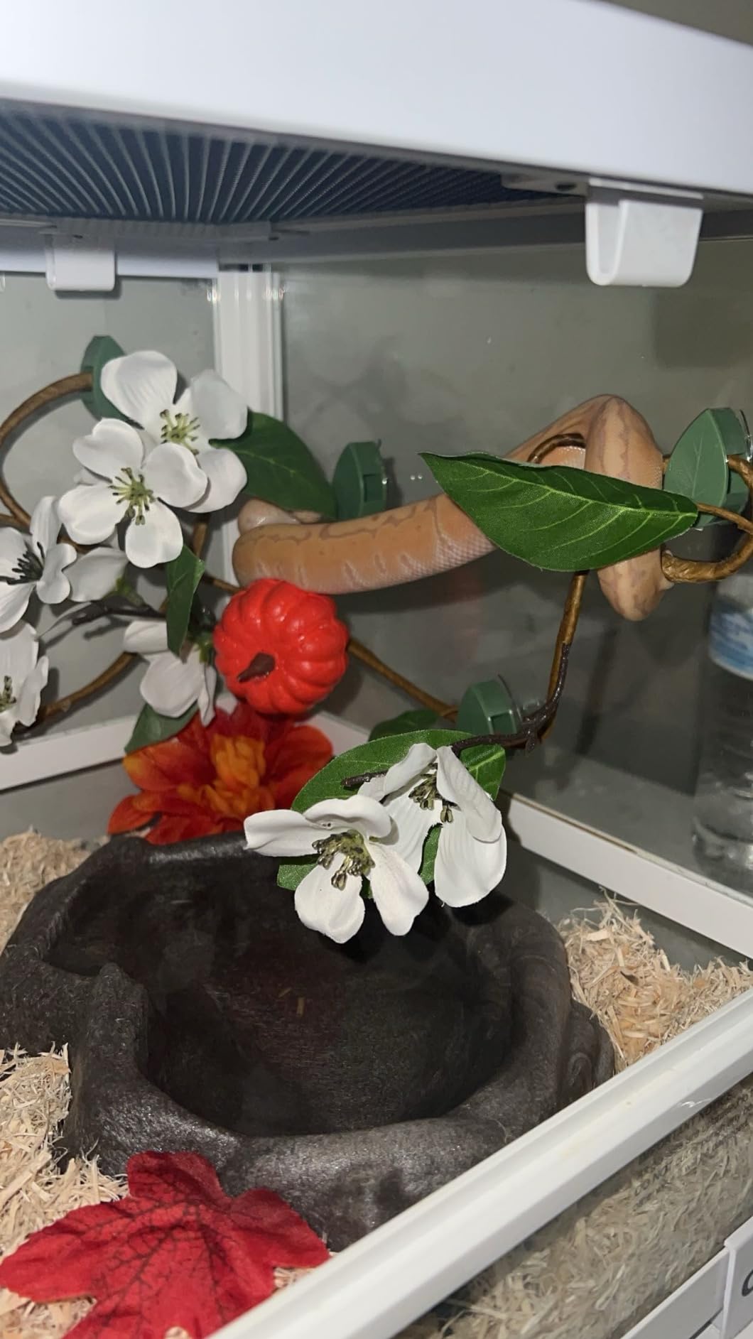 Full Glass Long Tank Reptile Terrarium 20 Gallon, Front Opening Terrarium 30