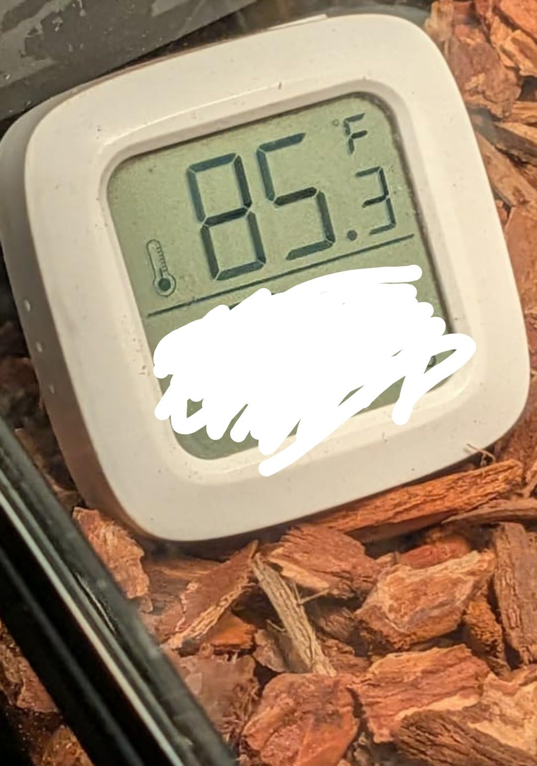 REPTIZOO Dimming Thermostat, PID Temperature Controller with Memory Function, Reptile Thermostat for Reptile Heat lamp, Specifically Designed for Light Heat Bulbs & Heaters customer photo 2