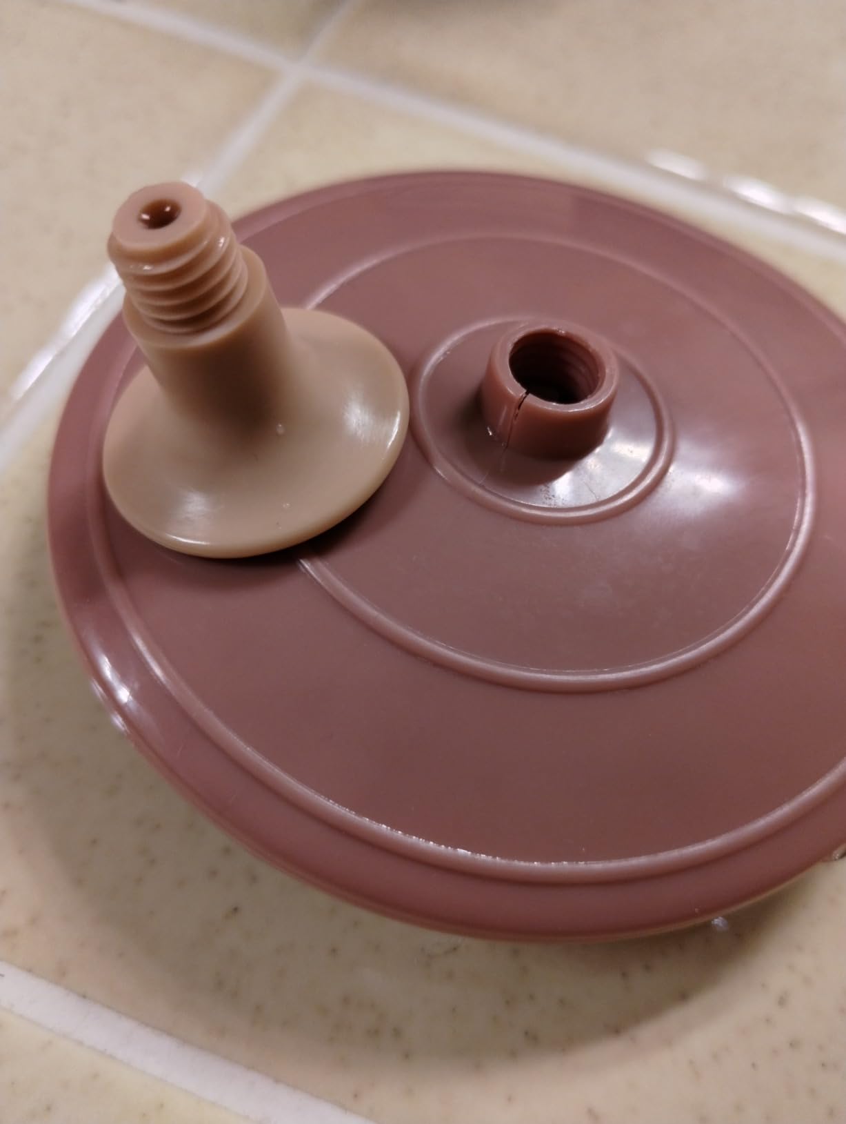 Kitsch Scalp Massager for Hair Care - Shampoo Brush Scalps - Terracotta customer photo 2