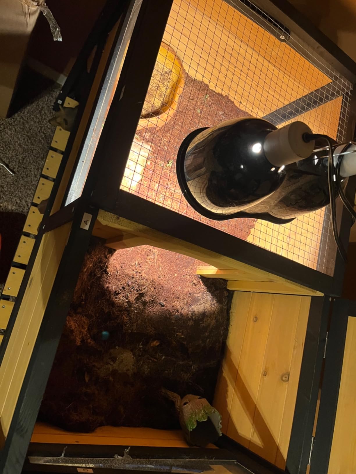 PawHut Tortoise Habitat with Shelf Storage, Tortoise Enclosure with Weather Protection, Reptile Enclosure with Tray, Light Support Frame, Yellow customer photo 2