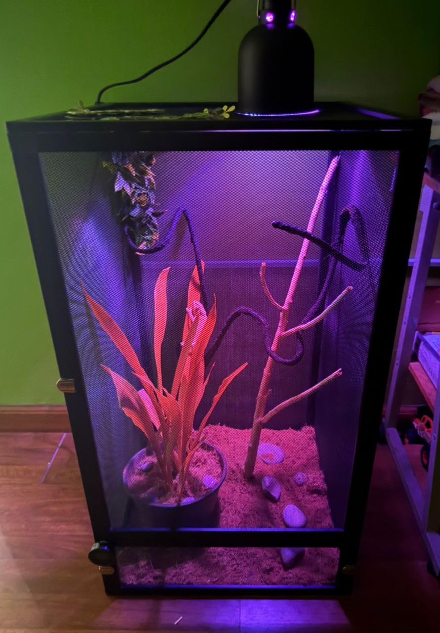 33 Gal Foldable Reptile Terrarium for Gecko & Dragon customer photo 1