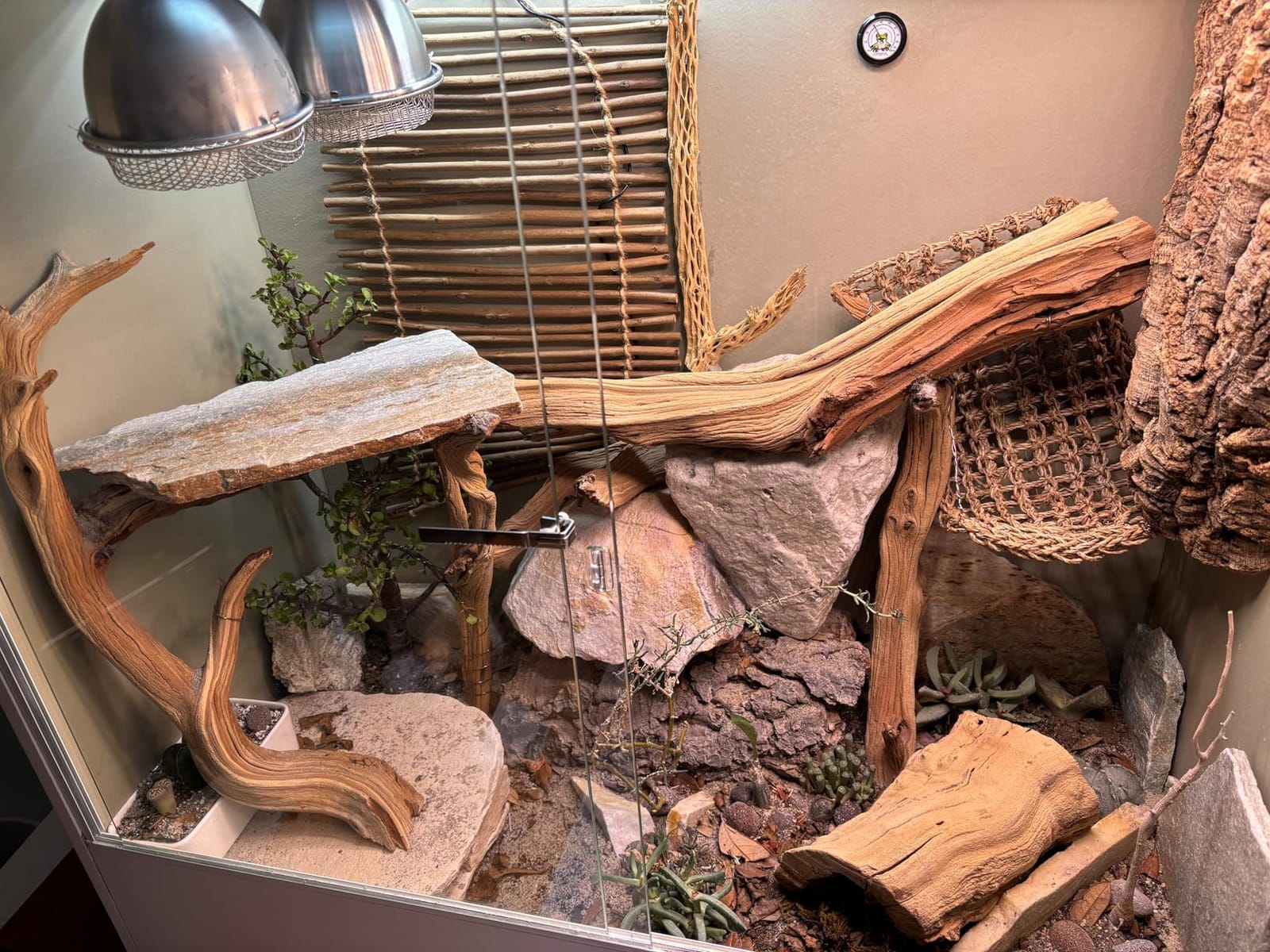 REPTI ZOO 67 Gallon PVC Tall Reptile Tank, 24 x18x36 inch Large Reptile Terrarium for Gecko Lizard Chameleon Frog Snake, Enclosure Habitat with Sliding Door & Top Screen Ventilation customer photo 1