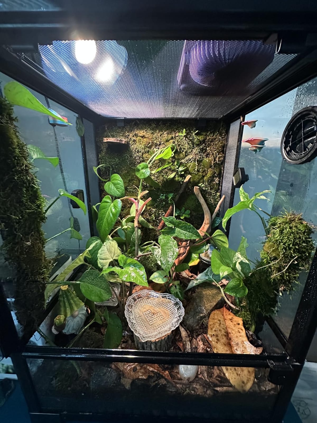 REPTI ZOO 30 Gallon Reptile Glass Terrarium, 18