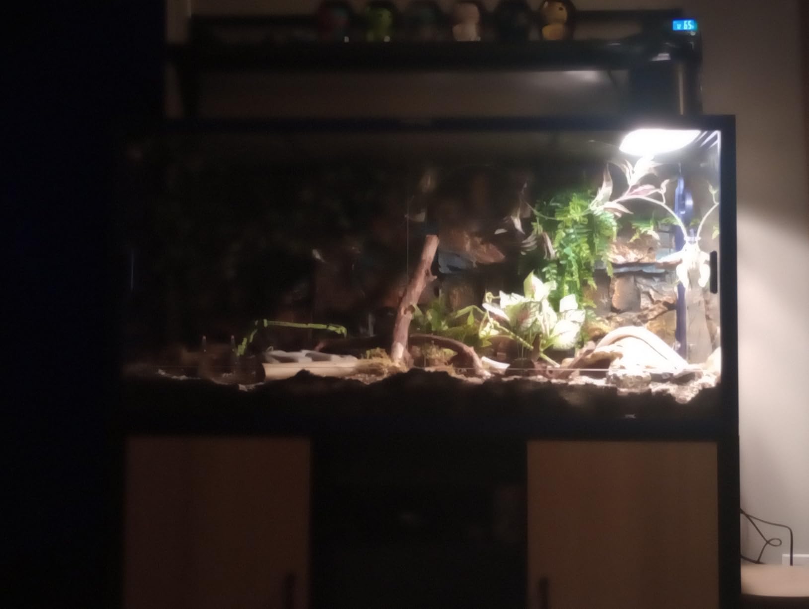 Phailozoo 50 Gallon Reptile Enclosure, Colorful Aluminum Frame Reptile Tank customer photo 2