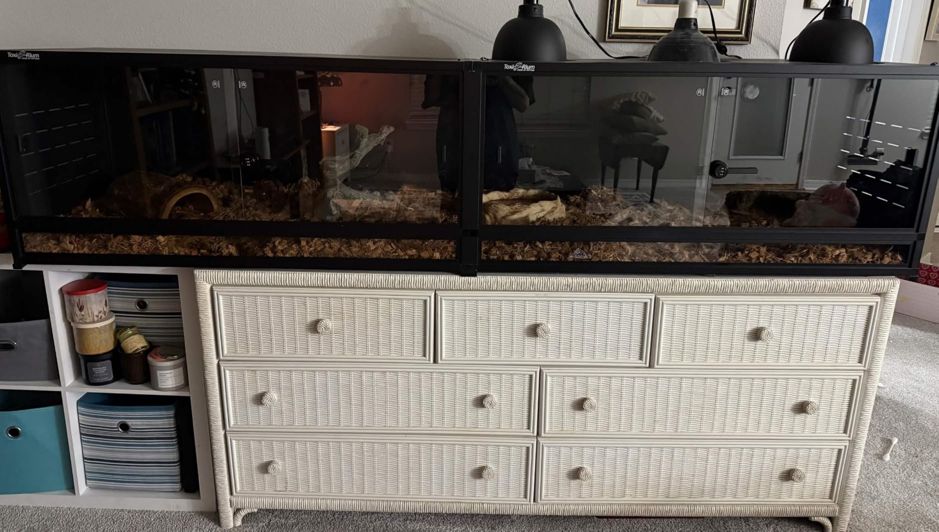 PVC Reptile Enclosure 80x16x16, 88 Gallon Modular Expandable Terrarium with Tempered Glass Front Opening Sliding Doors, Lockable Habitat for Bearded Dragon Gecko Lizard Snake, Black customer photo 2