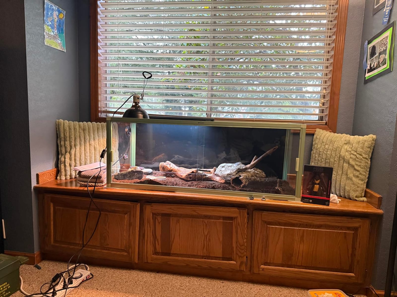 REPTI ZOO 120 Gallon Reptile Terrarium, 4x2x2 ft Light Weight Reptile Enclosure, Colored Reptiles Tank with Tempered Glass Door, Large Aluminum Habitat for Bearded Dragon, Snake, Lizard, Gecko-Purple customer photo 1